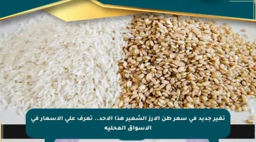 تغير جديد في سعر طن الأرز الشعير هذا الأحد.. تعرف على الأسعار في الأسواق المحلية